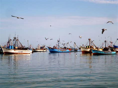 Puerto De Paracas Mis Viajes Por Ahí Mis Viajes Por Ahí