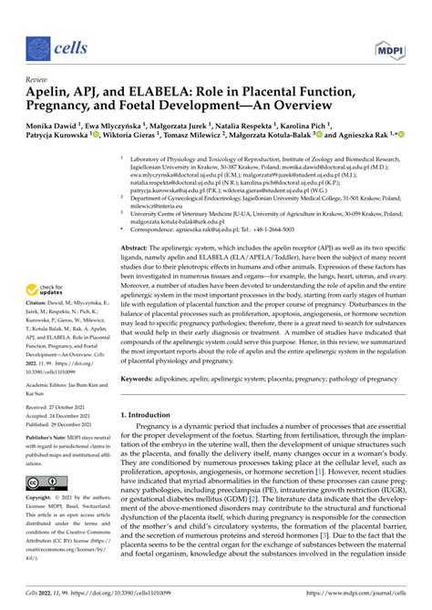 Pdf Apelin Apj And Elabela Role In Placental Function Pregnancy