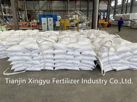 Best Fertilizer For Oil Palm Tree Water Soluble Complete Fertilizer