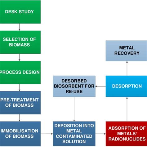 Schematic diagram of biosorption procedure. | Download Scientific Diagram