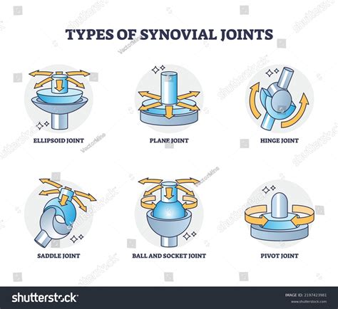 371 Hinge Joint Human Images Stock Photos And Vectors Shutterstock