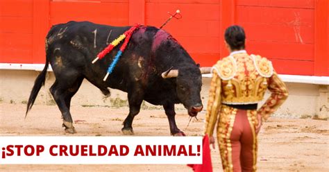 Todo Lo Que Debes Saber Sobre La Tauromaquia Origen Evolución Y Controversia Todo Sobre Tu