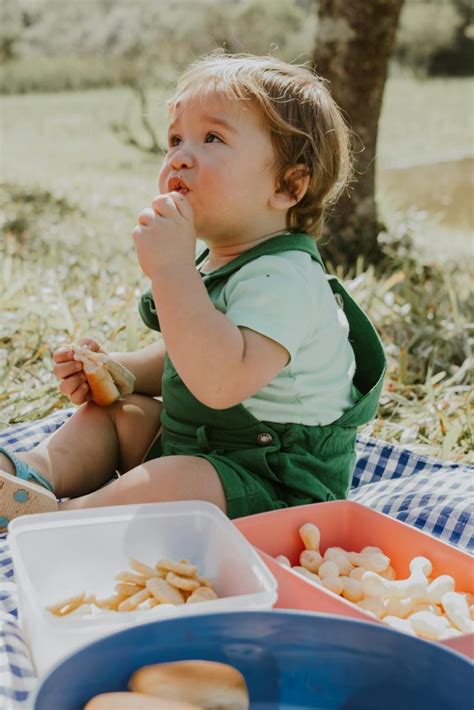 Fiambreras para bebés Cómo elegir la tuya