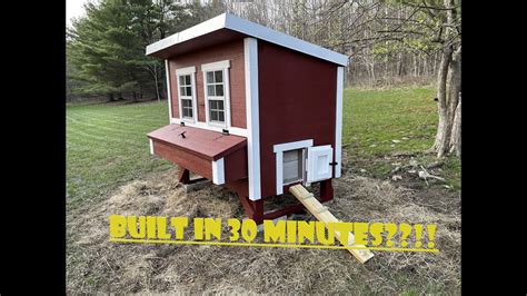 Overez Chicken Coop 30 Minute Build Plus Expanding Apiary Youtube