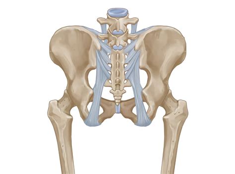 Sacroiliac Ligament Pain