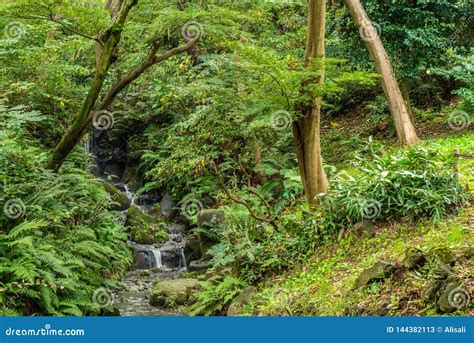 Beautiful Sankeien Garden With Trees And Waterfall In Yokohama Japan