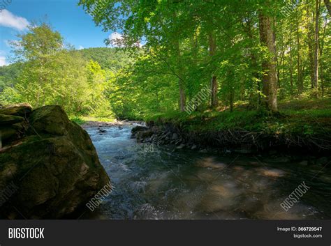 Stream Forest. Image & Photo (Free Trial) | Bigstock