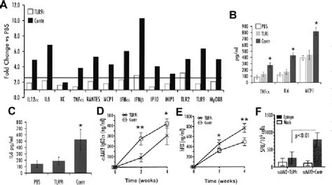 Figure From The Genome Of Self Complementary Adeno Associated Viral