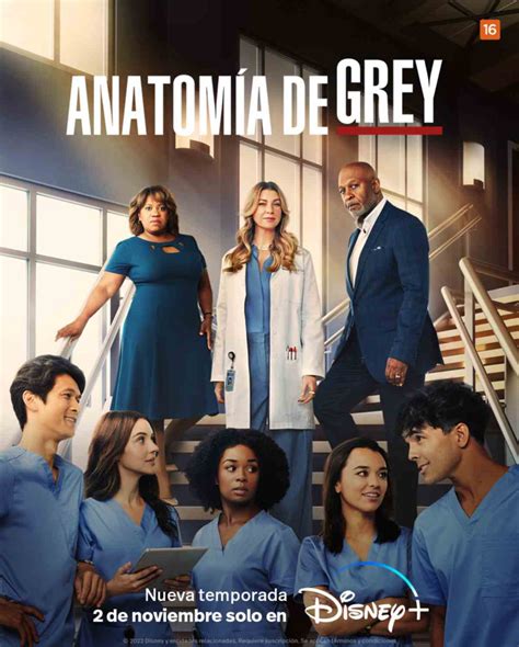 Anatomía de Grey Temporada 19 SensaCine