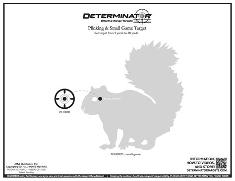 squirrel small game plinking target