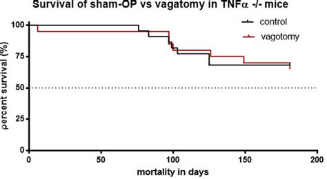 Subdiaphragmatic Vagotomy Promotes Tumor Growth And Reduces Survival