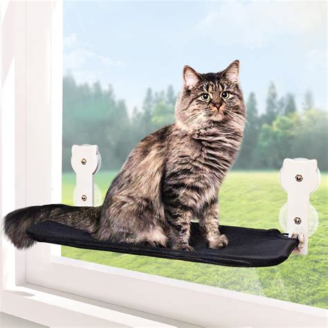 Dracarys Hamac Chat Fenetre Pour Chats Hamac Fenetre Pour Chat Pliable