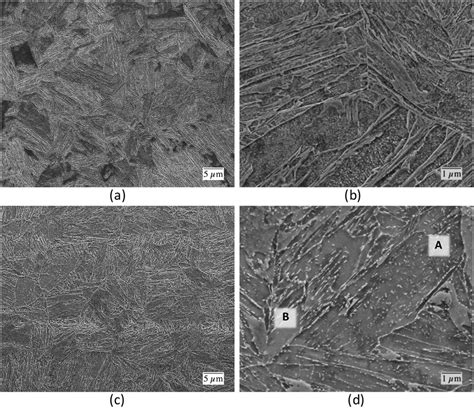 Fesem Images At Two Magnifications Of The Initial Aq Microstructure A Download Scientific