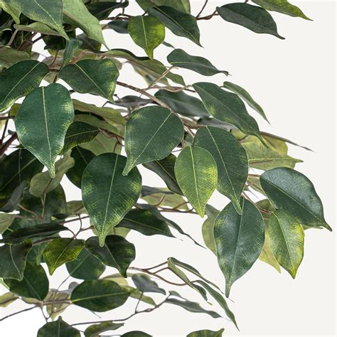 Rbol De Ficus Artificial De Pies Plantas De Seda Falsas Con Hojas