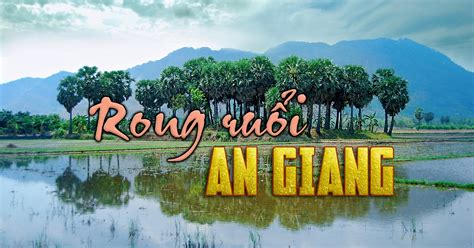 Rong Ruổi An Giang ☘️ Với Nhà Thơ Trẻ Vĩnh Thông Sinh Năm 1996 Tại