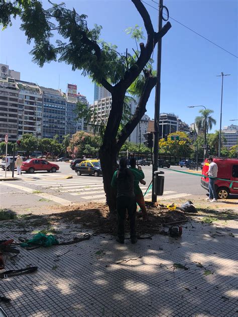 Basta De Mutilar Nuestros Rboles On Twitter Esta Ma Ana En Av Santa