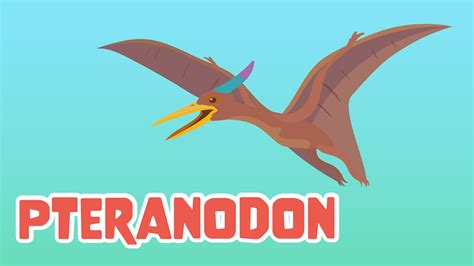 Pteranodon Learningmole