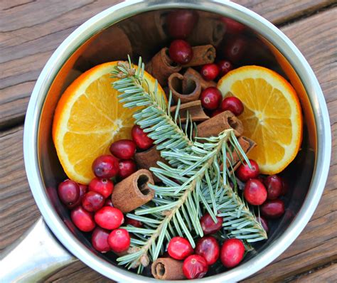 Christmas In A Pot Stovetop Potpourri Carolina Charm