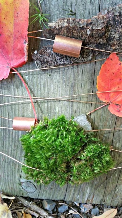 Found Object Art Nature Weaving • Vicki Odell