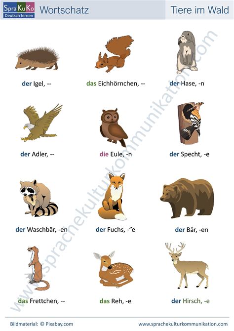 Wortschatz Tiere Im Wald Deutsch Lernen Deutsch Wortschatz