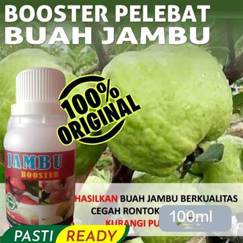 Jual Pupuk Organik Cair Booster Jambu Air Jambu Mete Jambu Kristal