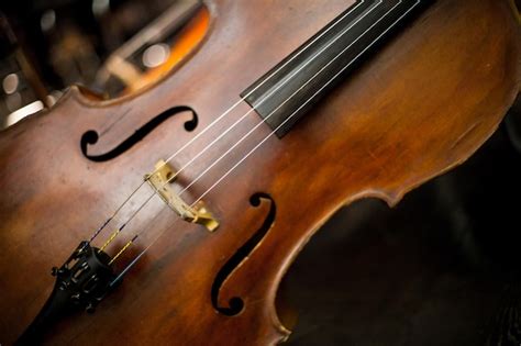 Violonchelo Contrabajo En El Escenario El Magnífico Contrabajo Primer