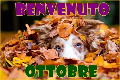 Immagini E Frasi Benvenuto Ottobre Le Pi Belle Da Inviare Su Whatsapp