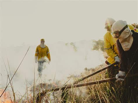 Los incendios forestales récord exigen una respuesta sin precedentes