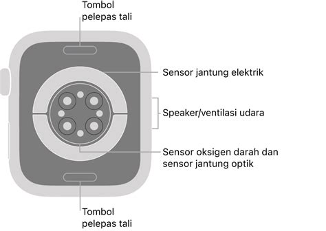 Apple Watch Anda Apple Support Id