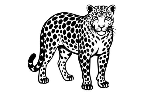 Arte E Ilustración De La Silueta Vectorial De Amur Leopard Ilustración