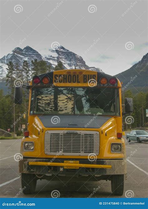 Yellow American Dagger Moth Caterpillar Stock Photo | CartoonDealer.com