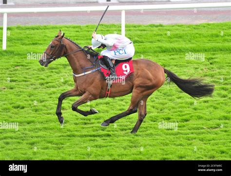 Eight And Bob ridden by jockey Rachel Blackmore on their way to winning the Fr. Breen Memorial ...