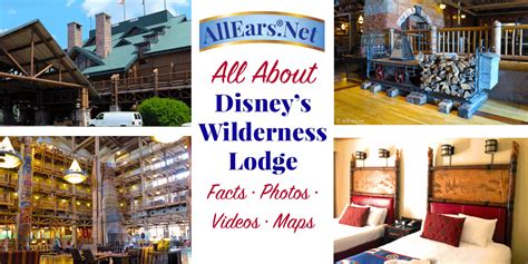 A Guide To Disneys Wilderness Lodge Resort At Walt Disney World