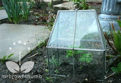 How To Make Your Own Garden Cloches To Protect Young Plants