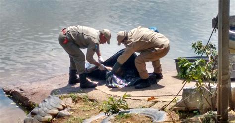 G Corpo De Pescador Encontrado Dentro De Rio Em Para Ba Do Sul