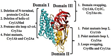 Three Dimensional Structure Of Cry Aa Toxin Alejandra Bravo Et Al