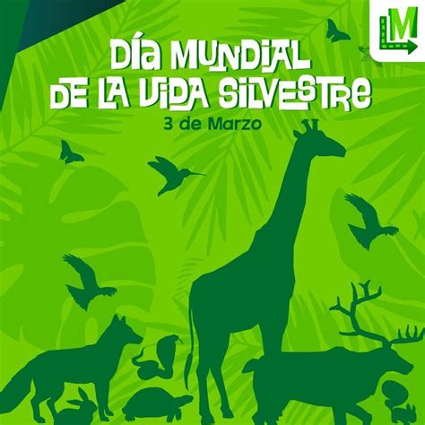 Día Mundial De La Vida Silvestre Mundial De Vida Día Mundial