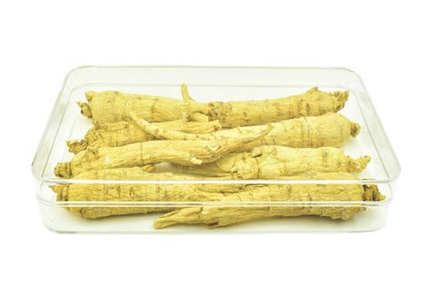 03 Trial Pack 115g Internal Box Canadian Ginseng Farm