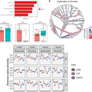 A 16S RRNA Gene Amplicon Sequencing Approach To Assess Alterations In