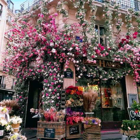 Flower Shops In Paris You Don T Want To Miss Paris Flowers French