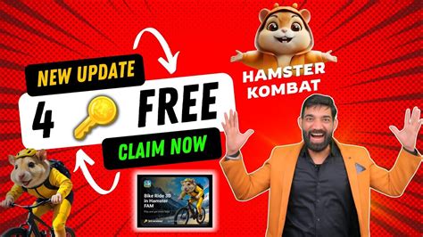 4 Key Daily Hamster Kombat Playground New Game Explained