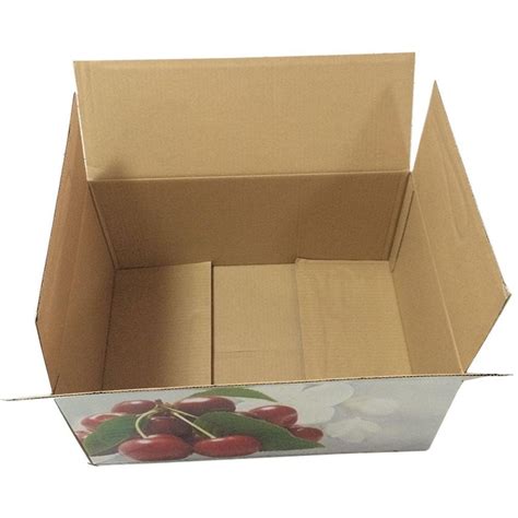 Cardboard Single Wall Ply Corrugated Fruit Packaging Boxes Box