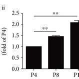 Characterization Of Bm Mscs Replicative Senescence A Representative