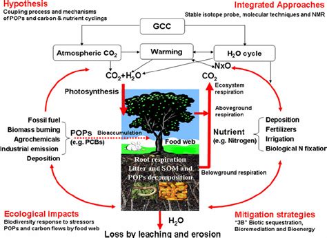 The Coupling Between Persistent Organic Pollutants Pops And