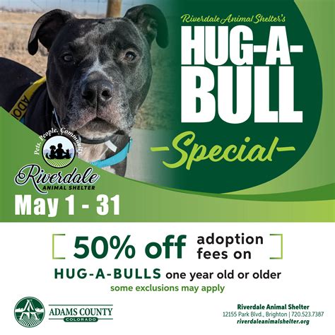 This guide explains the animal dog adoption process