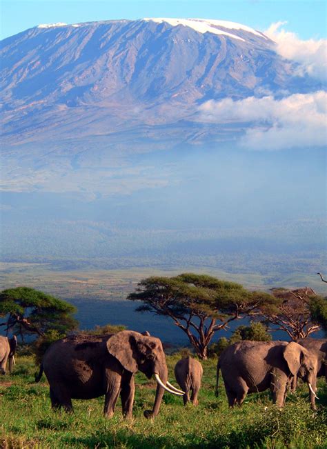 Kilimanjaro National Park || Ongeri Expeditions