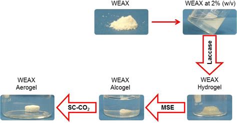 Molecules Free Full Text Water Extractable Arabinoxylan Aerogels