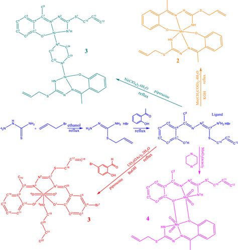 Synthesis route of ligand and its complexes | Download Scientific Diagram