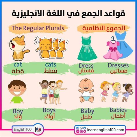 قواعد الجمع في اللغة الانجليزية جمع الكلمات الإنجليزية المفردة