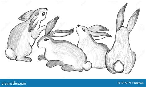 Sitting Rabbits Group, Sketch Stock Illustration - Illustration of rural, easter: 13179771